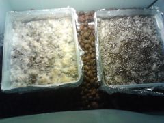 0c8639f4790189ae862ab141045582d7