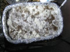 0a81113dc91996da3c47d91eb889c7d2