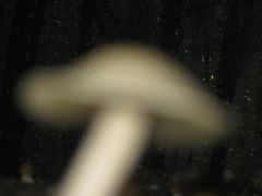 0b841e81c34b2999e3c8217c7bfdb479