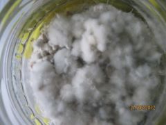 0b16a6b76607cc0c0047672d60ba9fb0