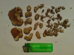 0a58fd23447d57a4bbf6dabea782d574