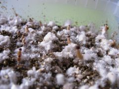 0bd26752404deccd080f3b9201d20d07