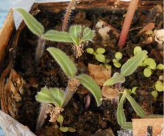 00b4c1ea076bd7ca458bc9dcf14c1c7c