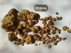 0c11f929718f99d6ffa707bc0a1f3117