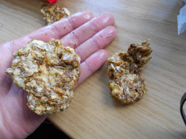 галиндия большая.jpg