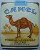Pack_of_camel.jpg