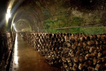 1295893217_mushroom-tunnel-5.jpg