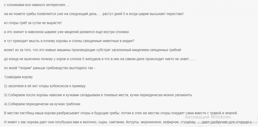 про слонов.png