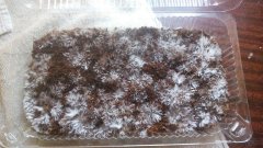 photo_2019-12-02_10-45-49 (2).jpg