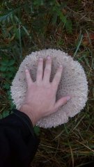 photo_2019-10-24_09-55-48 (2).jpg