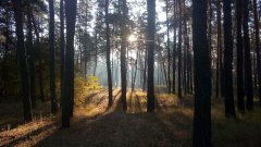 photo_2019-10-02_09-21-04