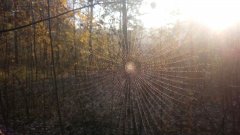 photo_2019-10-16_12-52-50