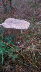 photo_2019-10-24_09-55-48