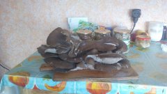 photo_2019-10-27_13-33-56