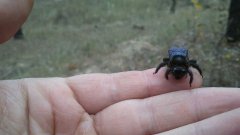 photo_2019-11-01_12-38-24