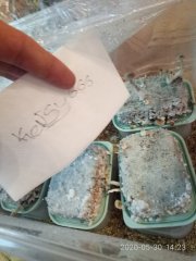 мои фоточки