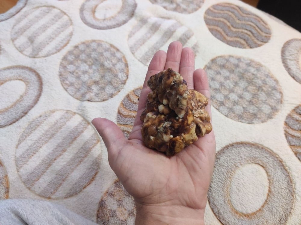 гигант склера от Holden Caulfield1.jpg