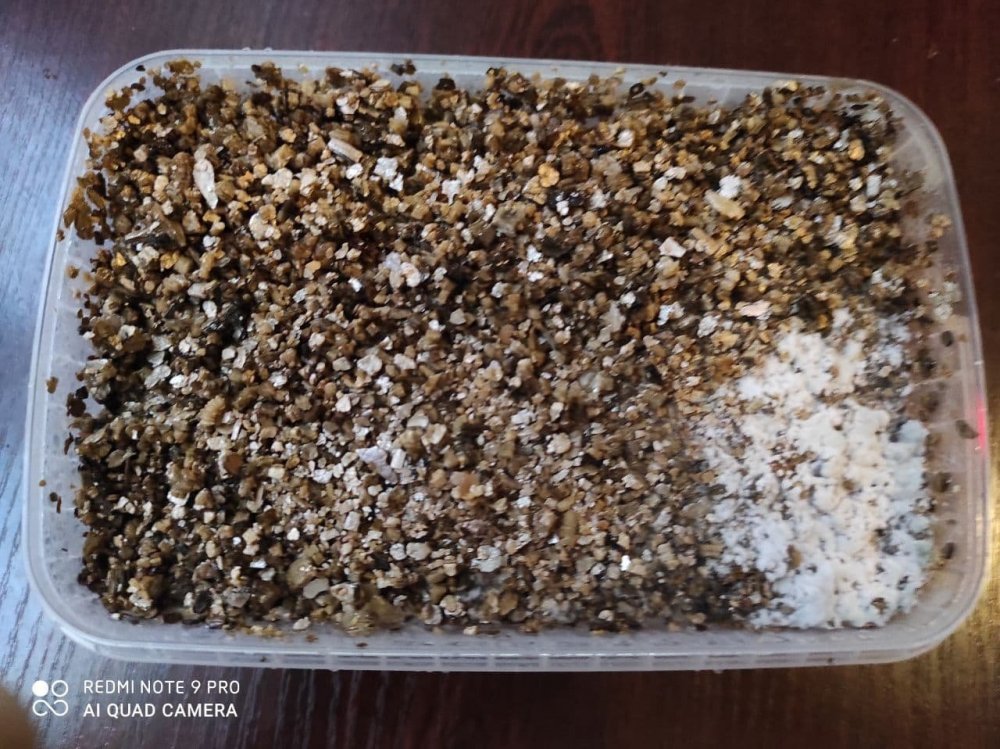 триха на покрове из вермикулита.jpg