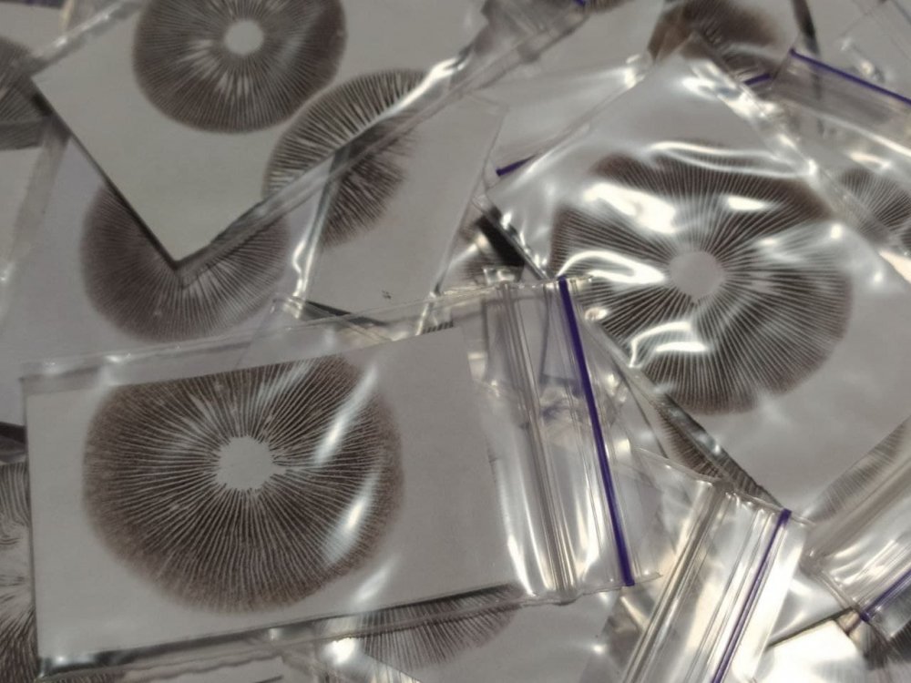 принты идеаол.jpg