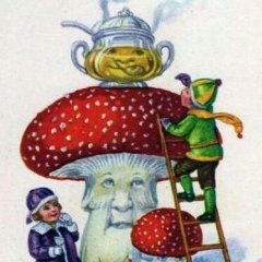 Mushroom Grandpa