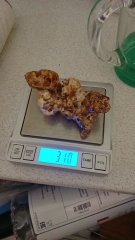 склера от.jpg