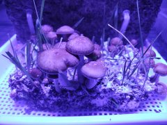 IMG_20220916_155807_031.jpg